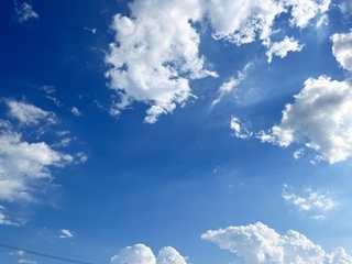 27401725_s.jpg